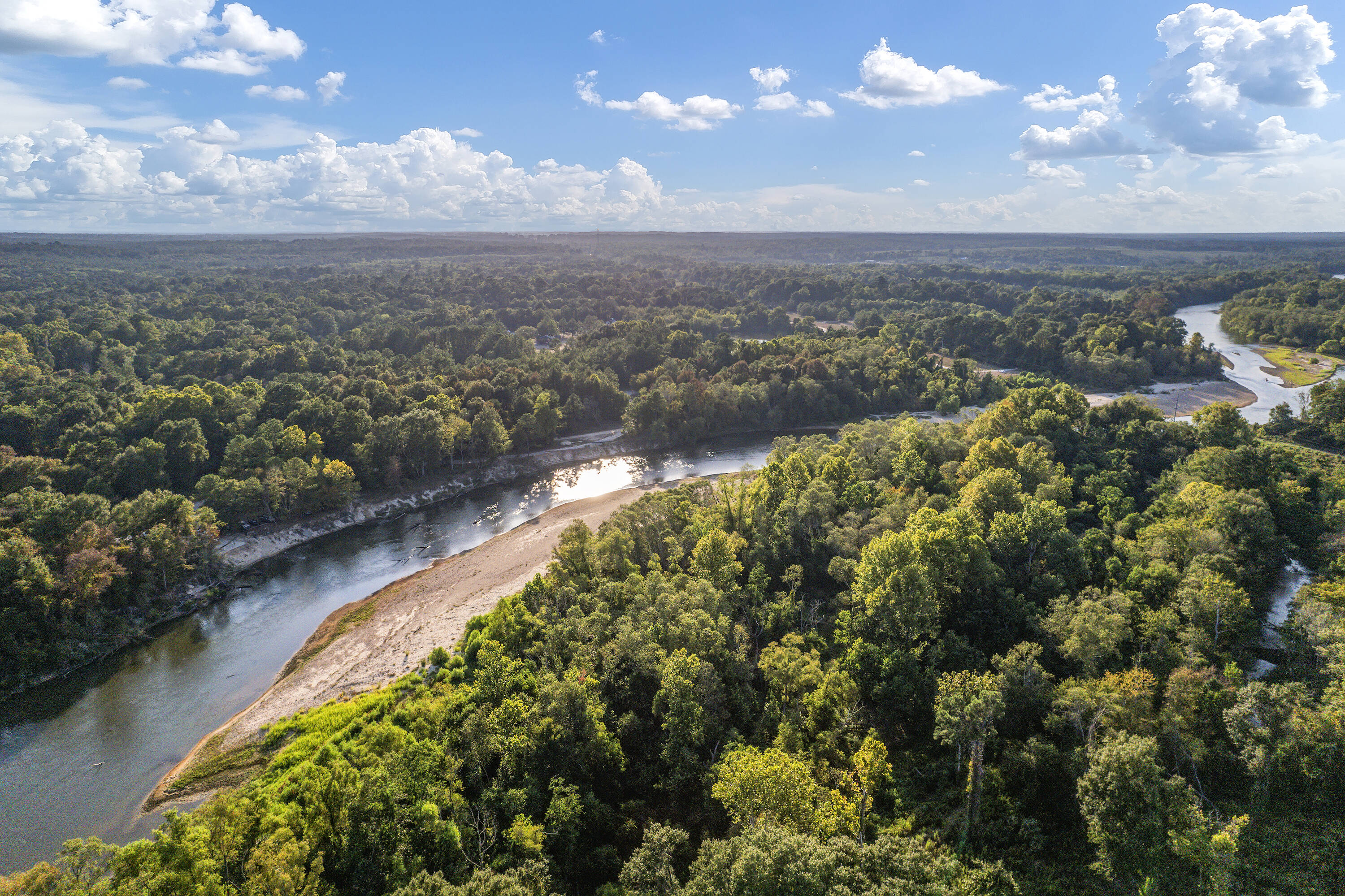 Land for Sale in Franklinton Louisiana 70438